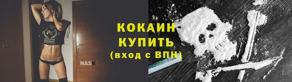 стафф Ладушкин