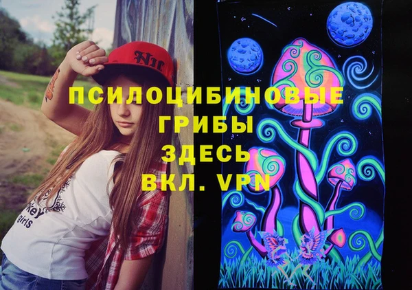стафф Ладушкин