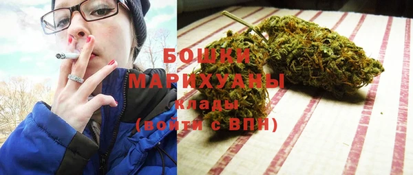 стафф Ладушкин